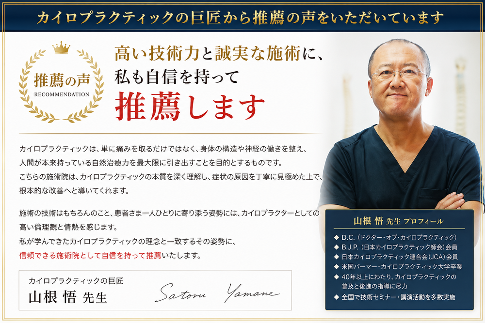 カイロプラクティック推薦の声